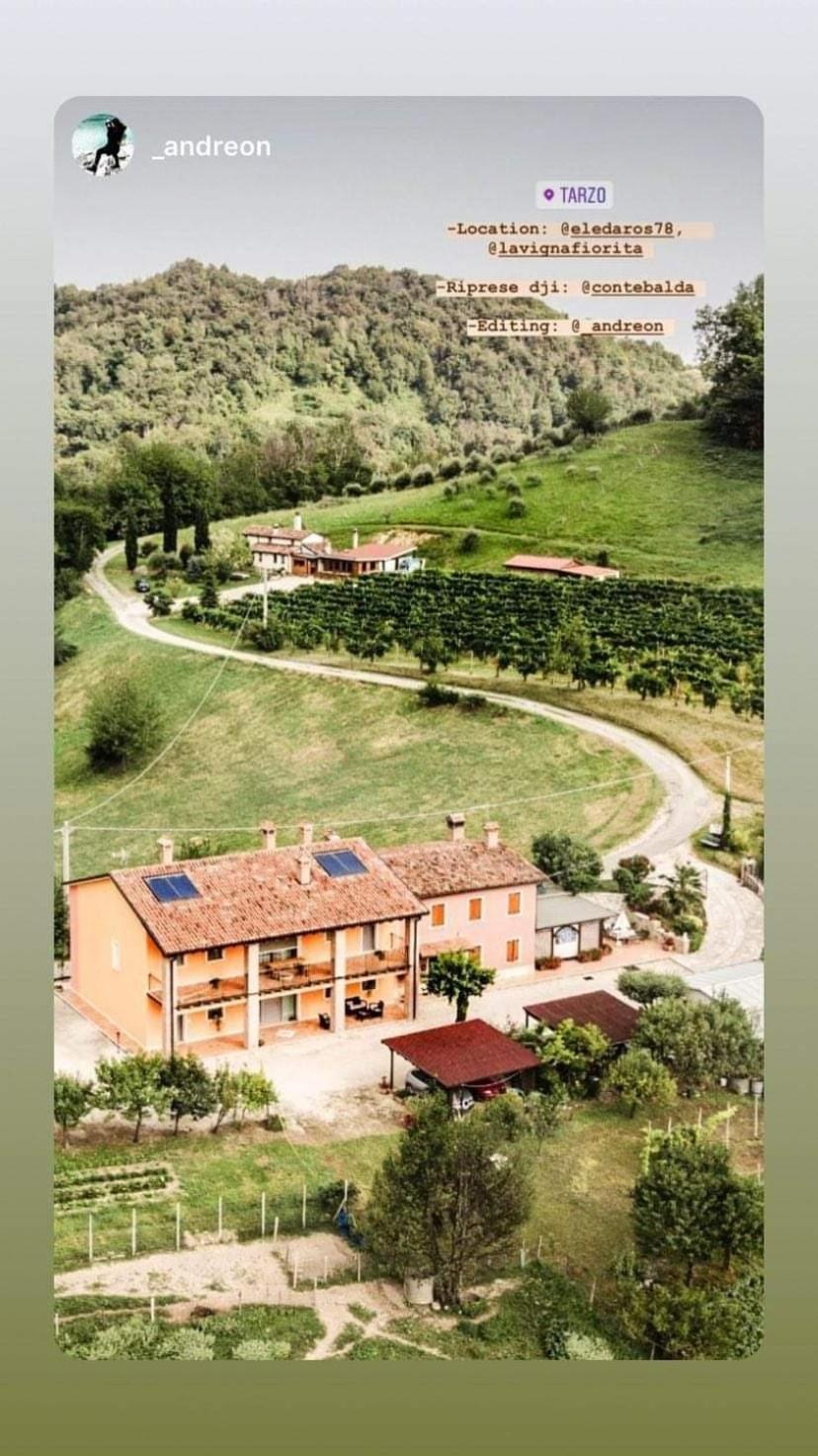 La Vigna Fiorita B&B Tarzo エクステリア 写真